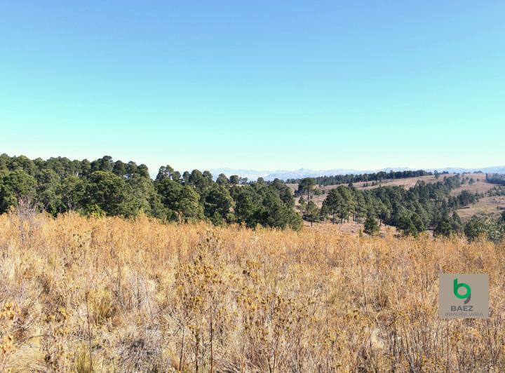 Terreno · 2600m²