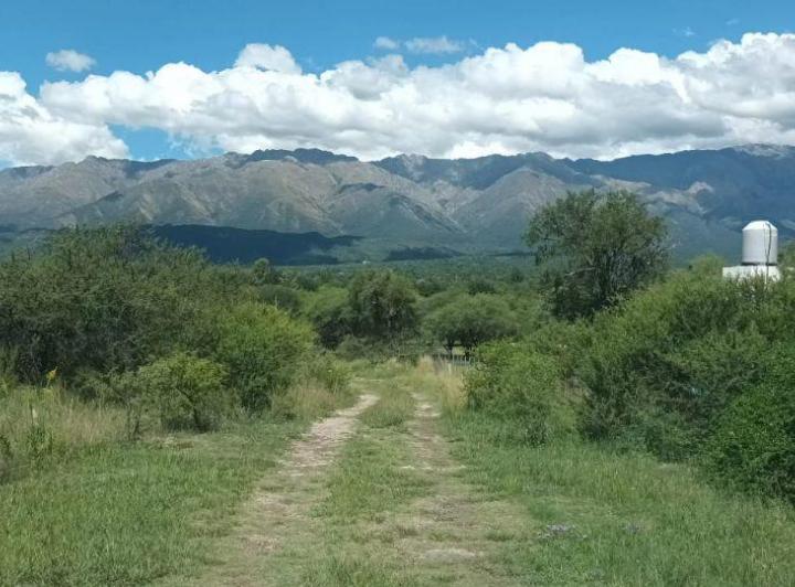 Terreno · 1250m²