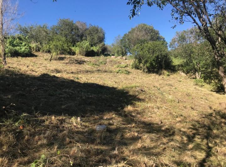 Terreno · 450m²