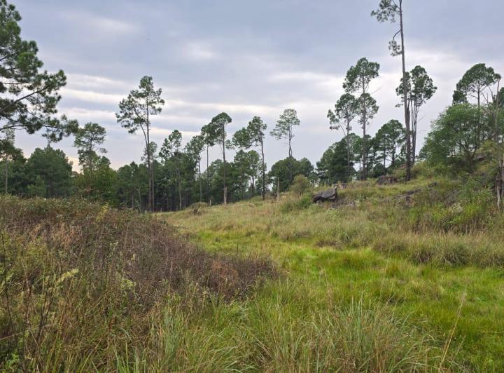 Terreno · 13850m²