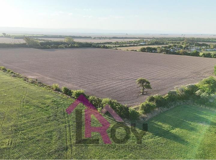 Campo · 195800m²