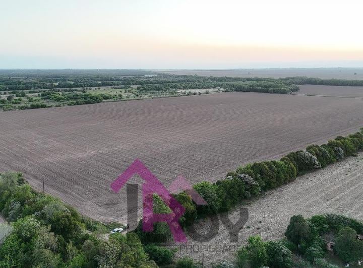 Campo · 383600m²