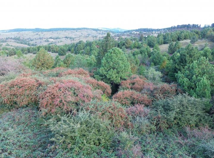 Terreno · 11565m²