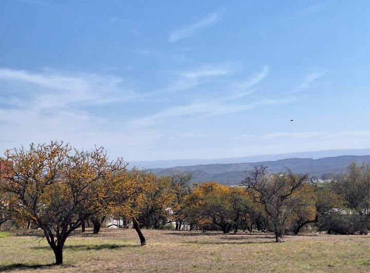 Terreno · 2000m²