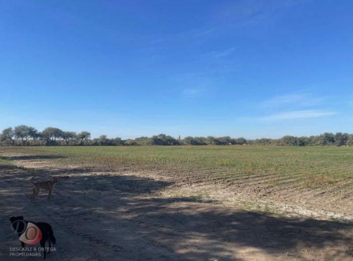 Terreno · 820000m² · 3 Ambientes