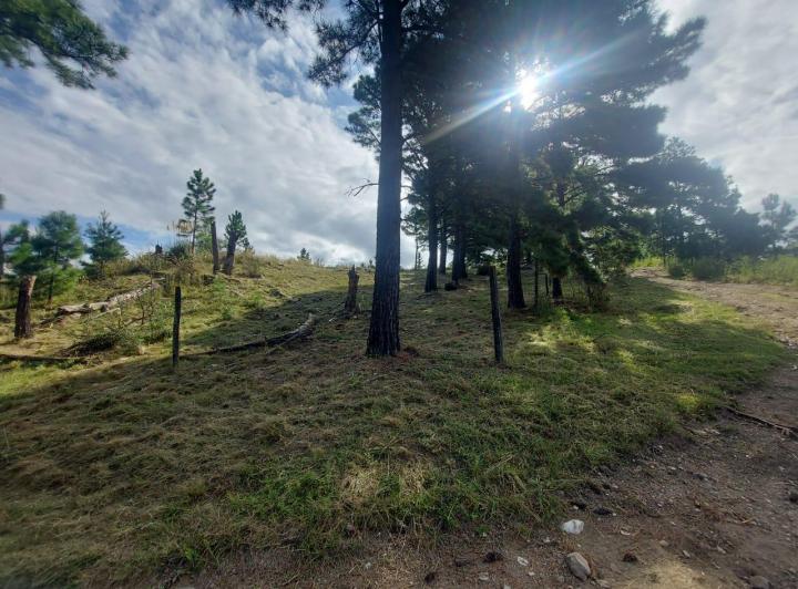 Terreno · 1m²