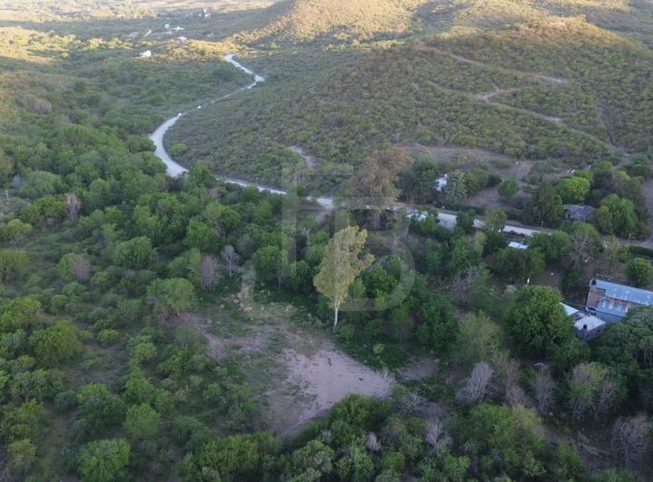 Campo · 80ha