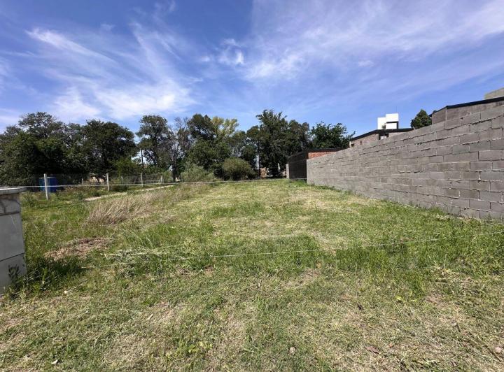 Terreno · 217m²