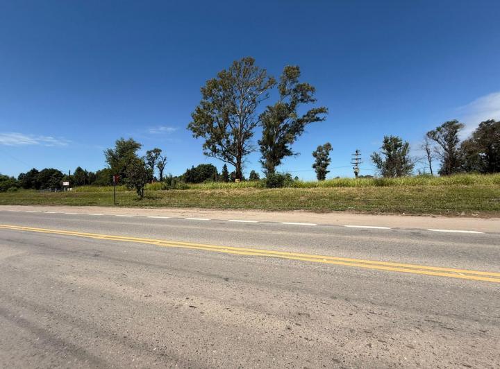 Terreno · 86032m²