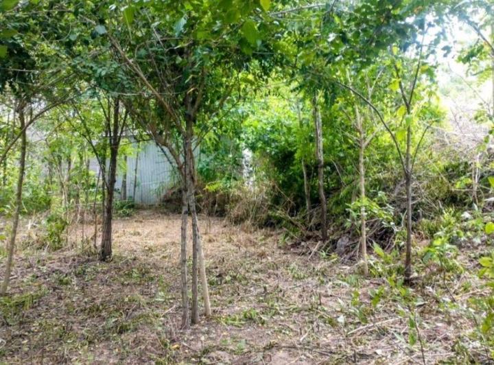 Terreno · 560m²