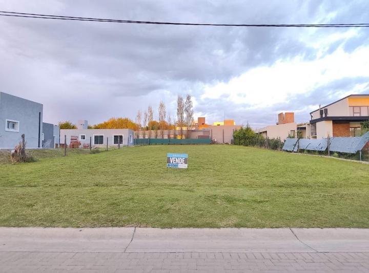 Terreno · 1000m²