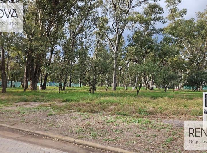 Terreno · 399m²