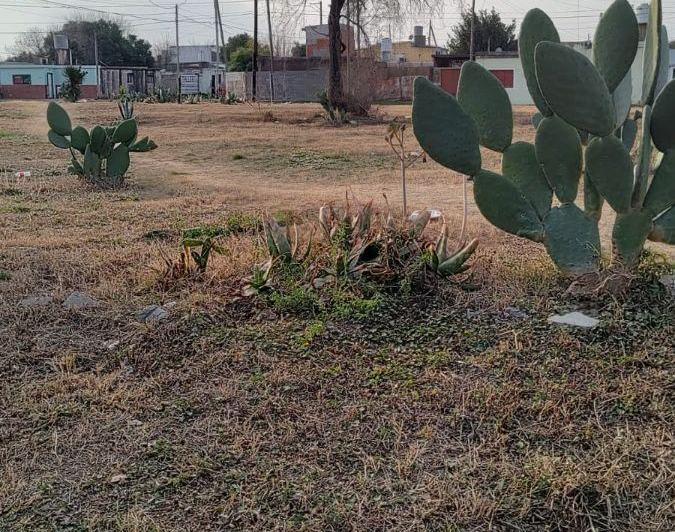 Terreno · 205m²