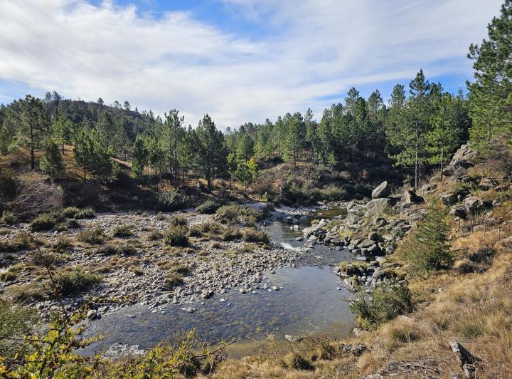 Terreno · 400000ha
