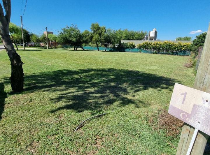Terreno · 1001m²
