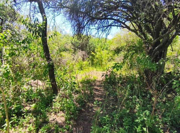 Terreno · 761m²