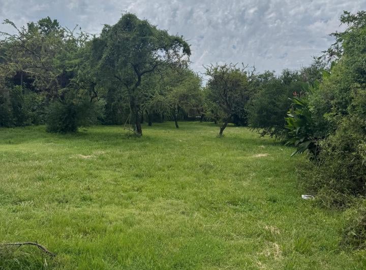 Terreno · 562m² · 1 Ambiente