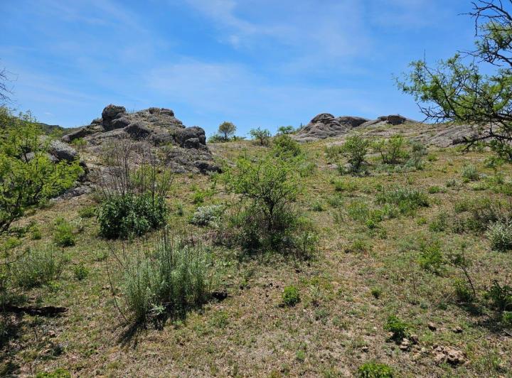 Terreno · 1299m²