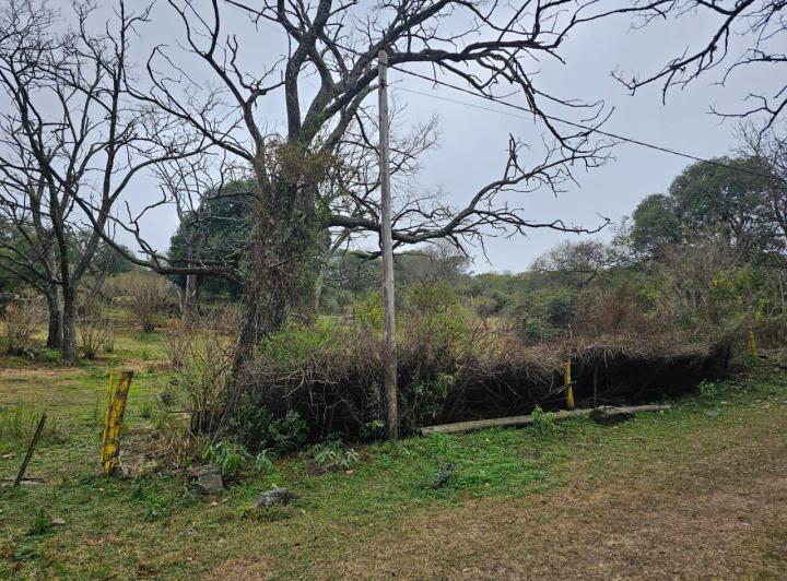 Terreno · 2000m²