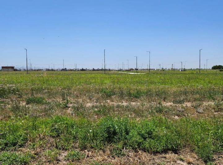 Terreno · 250m²