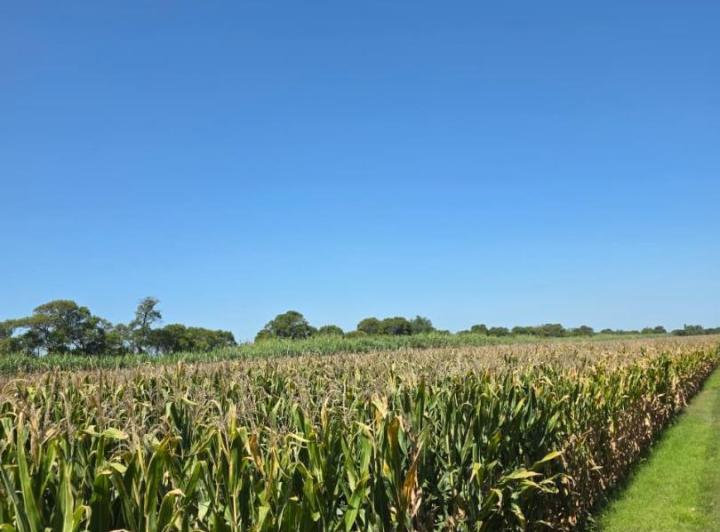 Campo · 1180000m² · 1 Ambiente