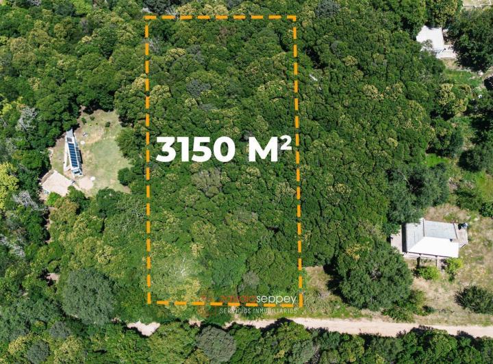 Terreno · 3150m²