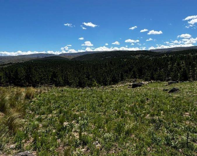 Terreno · 504m²