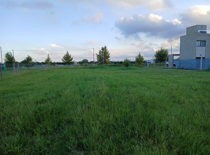 Terreno · 655m²