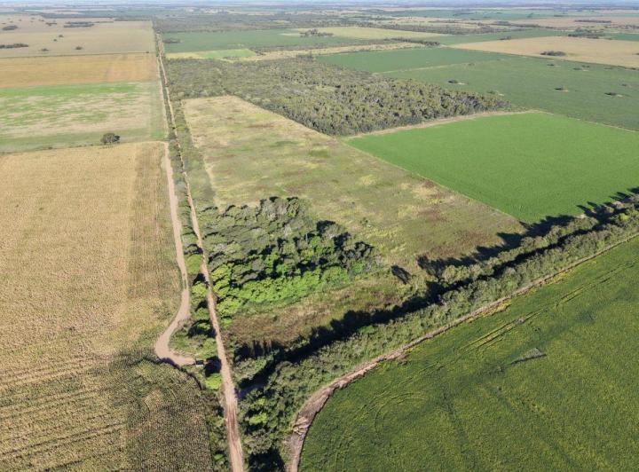 Campo · 30ha