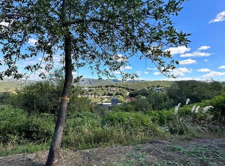 Terreno · 1126m²