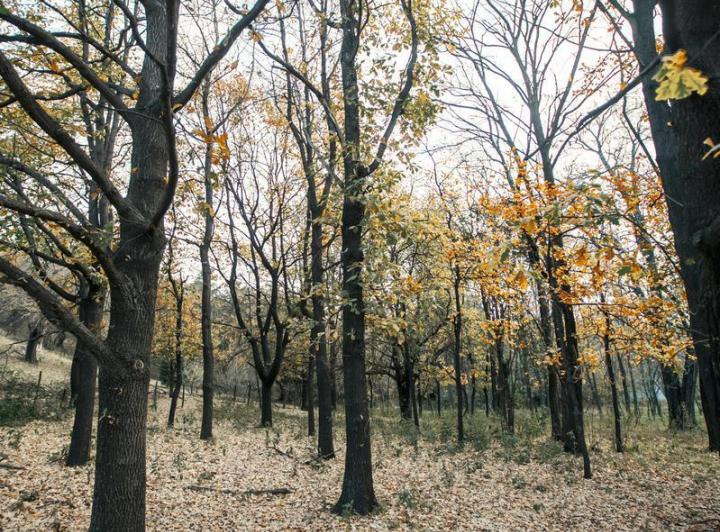Terreno · 5000m²