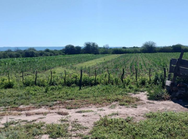 Terreno · 1000000m²