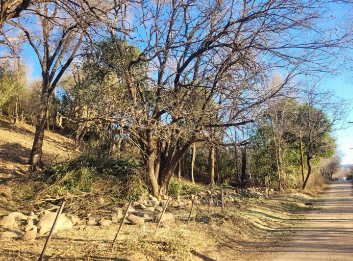Terreno · 1516m²