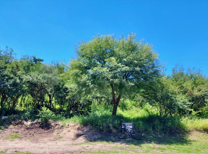 Terreno · 1185m²