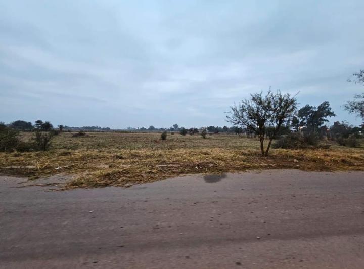 Terreno · 2500m²
