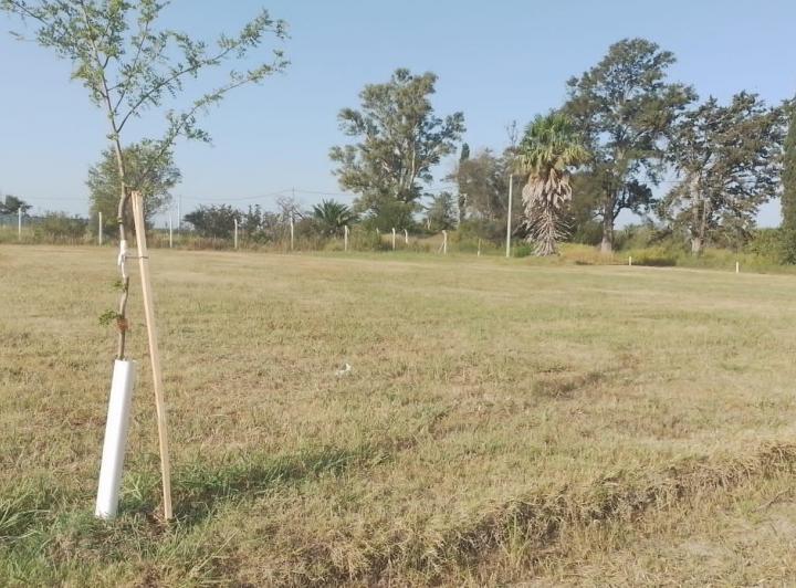 Terreno · 2294m²