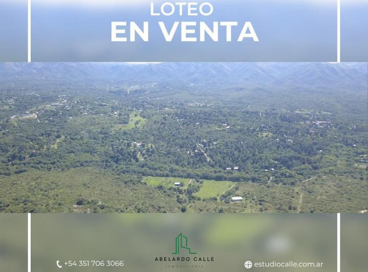 Terreno · 322017ha