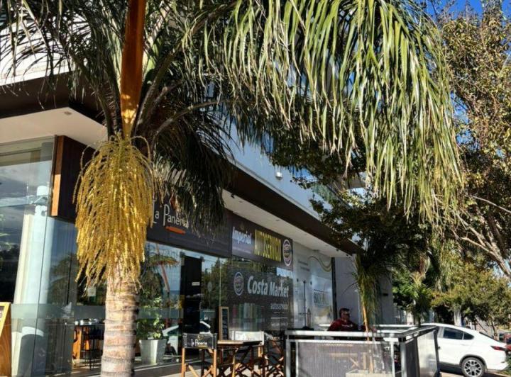 Local comercial · 150m² · 1 Ambiente · 2 Cocheras