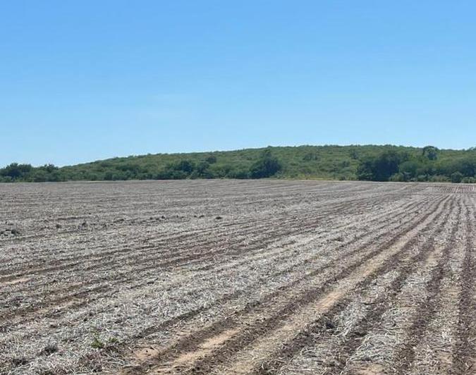 Campo · 2280000ha
