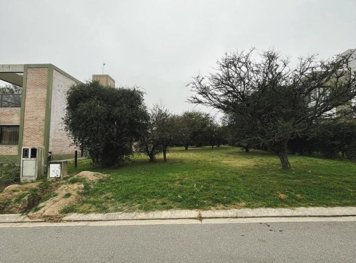 Terreno · 525m²