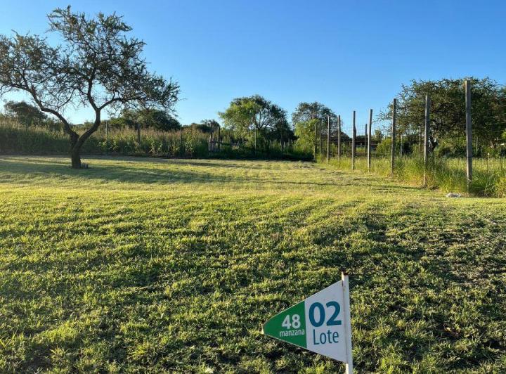 Terreno · 350m²