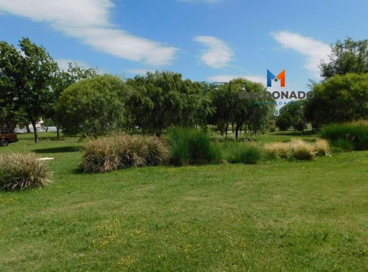 Terreno · 1000m²