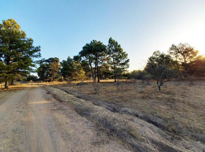 Terreno · 2467m² · 1 Ambiente