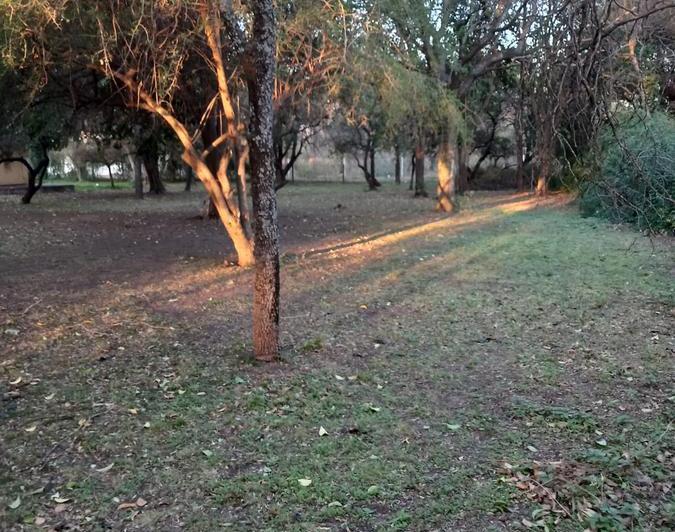 Terreno · 1000m²
