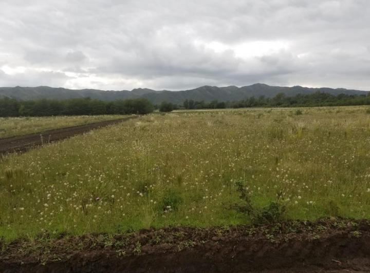 Terreno · 790m²