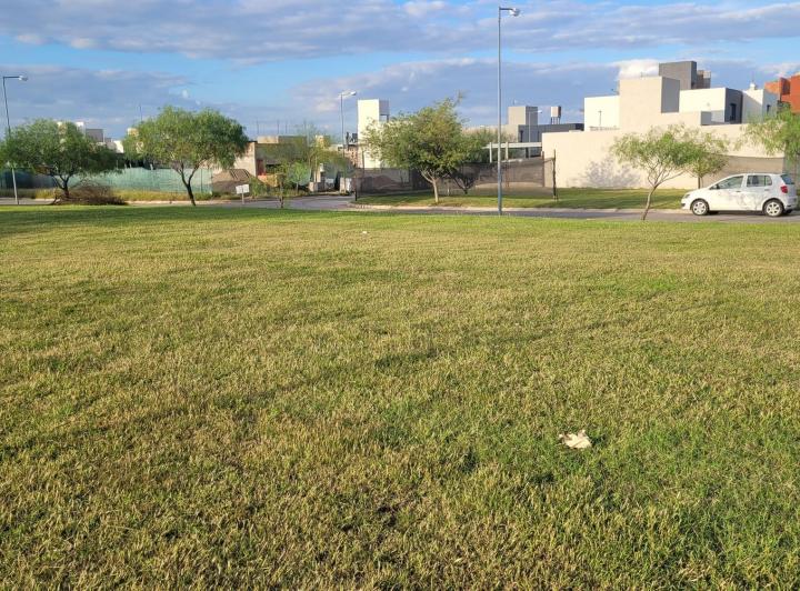 Terreno · 605m²
