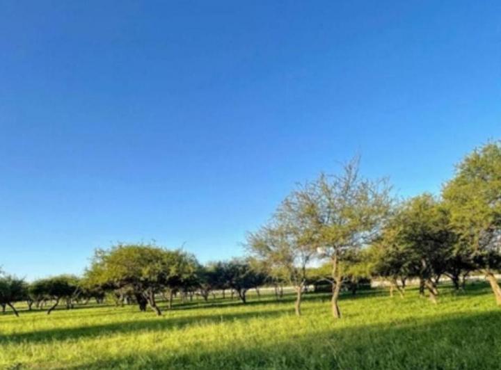 Terreno · 476m²
