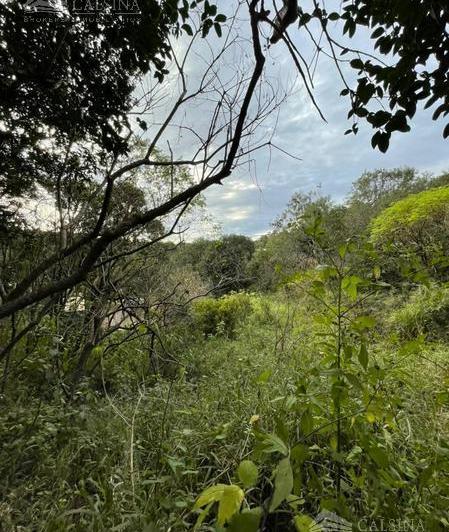 Terreno · 725m²