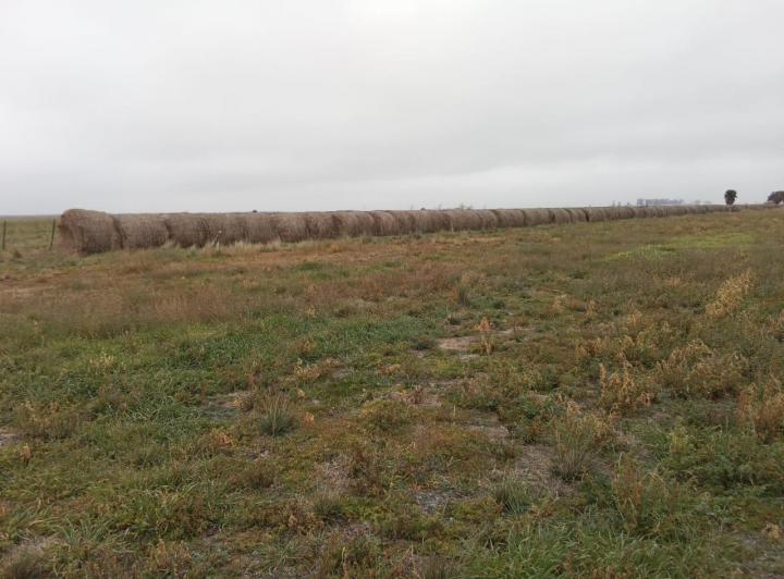 Campo · 1100000m²