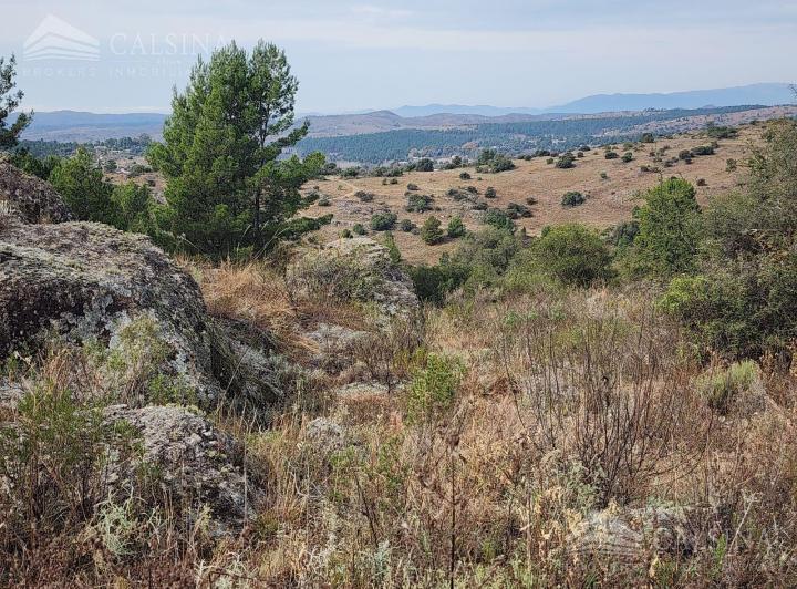 Campo · 11m²